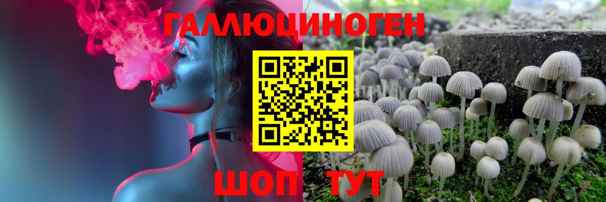 Петрозаводск  Псилоцибиновые грибы Magic Shrooms  Вход с VPN  Галлюциногенные грибы Psilocybine cubensis 